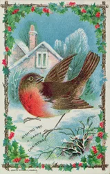 Christmas Card Depicting a Robin